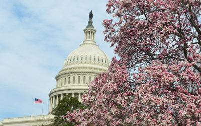 Falls Legal Attending National Wage & Hour Conference in D.C.